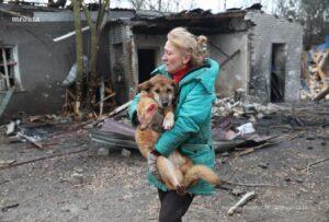 Приют для собак в Запорожье поврежден в результате атаки дронов. Запорожье, Приют для собак, Атака дронов, ВС РФ, Военное дело