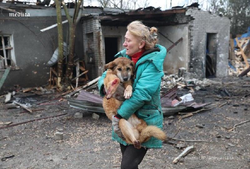 Приют для собак в Запорожье поврежден в результате атаки дронов. Запорожье, Приют для собак, Атака дронов, ВС РФ, Военное дело
