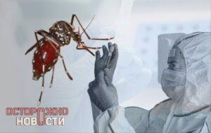 Профессор Мурад Шахмарданов из Пироговского Университета предупредил о возможных локальных вспышках вируса чикунгунья на юге России. 🦟 Чикунгунья, что переводится как «становиться скрюченным», вызывает сильные боли в суставах, лихорадку до 39-40°C, сыпь и тошноту. По словам эксперта, боли могут быть настолько интенсивными, что человеку трудно даже ходить. Такое состояние может длиться месяцами. Вирус распространяется через комаров, которые становятся заразными через 7-10 дней после укуса инфицированного человека. На юге России, особенно на Черноморском побережье, такие комары уже обитают. Шахмарданов подчеркнул, что массового распространения вируса в стране не ожидается, но локальные вспышки возможны. В группе риска — новорождённые, пожилые и люди с хроническими заболеваниями. Смертность от чикунгуньи низкая, но симптомы крайне неприятны. Профессор рекомендует при первых признаках болезни пить больше жидкости, принимать жаропонижающее и отдыхать. Будьте осторожны! 🚨. Мурад Шахмарданов, чикунгунья, Черноморское побережье, вирусы, здоровье