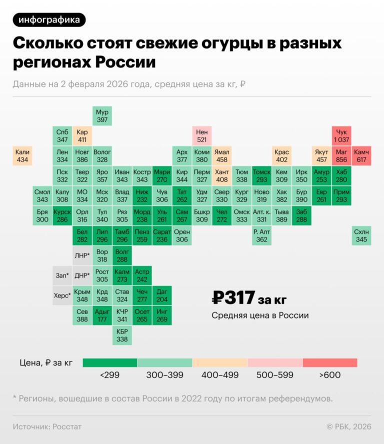 Рекордный рост цен на огурцы в России. Росстат, огурцы, цены, Чукотка, инфляция