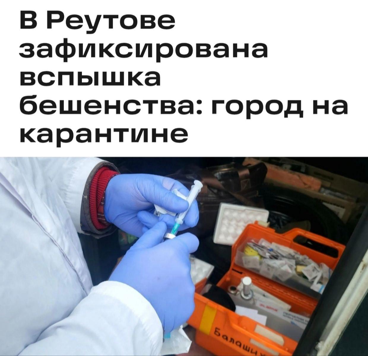 Реутов объявлен неблагополучным по бешенству после инцидента с хорьком. Реутов, бешенство, хорек, ограничения, ветеринария