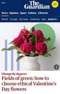 Розы на 14 февраля: убийцы экологии 🌍. Экология, Розы, 14 февраля, Кения, Эквадор