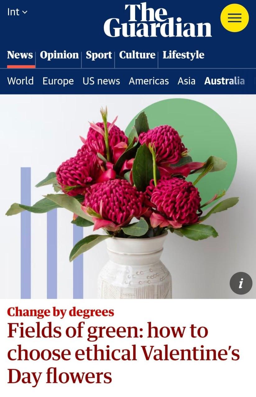 Розы на 14 февраля: убийцы экологии 🌍. Экология, Розы, 14 февраля, Кения, Эквадор