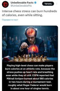 Шахматы как фитнес: сжигаем калории за доской. Шахматы, Фитнес, Здоровье, Гроссмейстеры, Калории