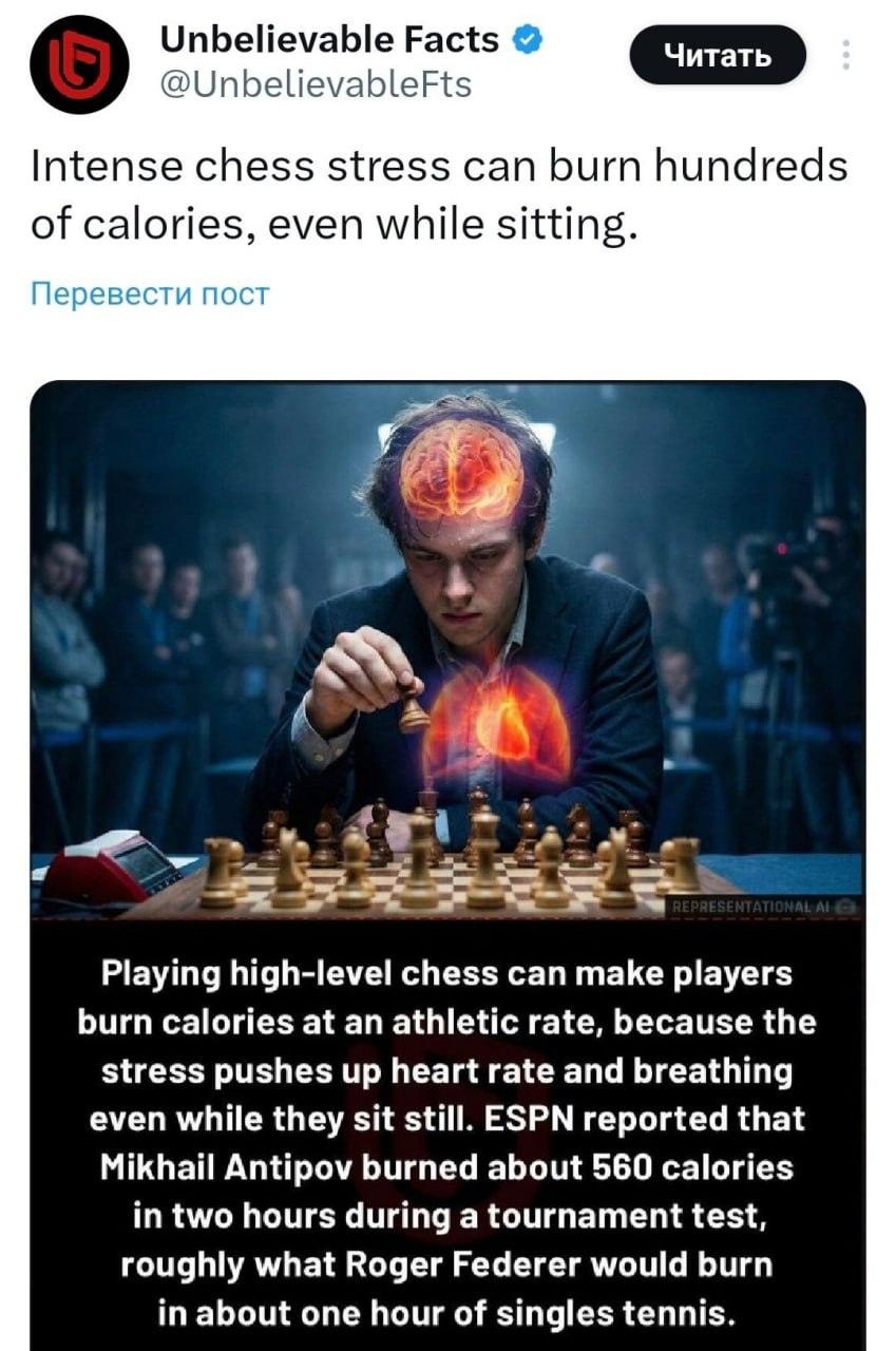 Шахматы как фитнес: сжигаем калории за доской. Шахматы, Фитнес, Здоровье, Гроссмейстеры, Калории