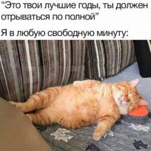 Сон как стратегия: накопить на неделю вперёд. сон, здоровье, продуктивность, наука, лайфхаки