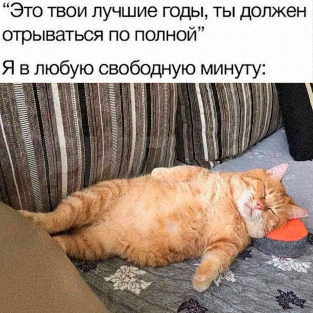 Сон как стратегия: накопить на неделю вперёд. сон, здоровье, продуктивность, наука, лайфхаки