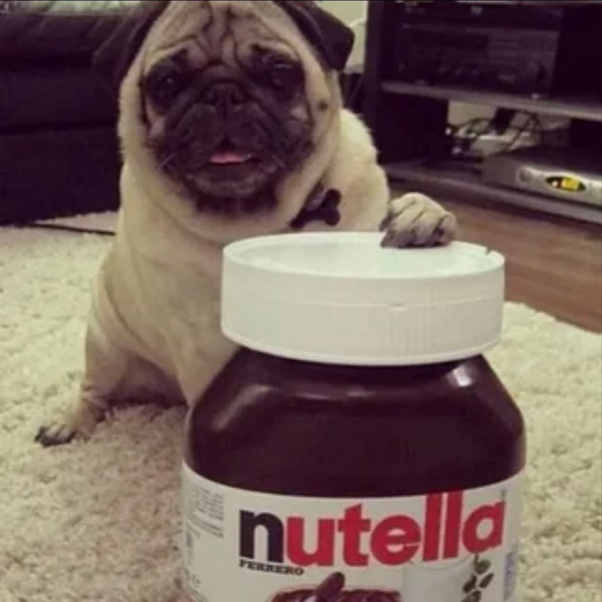 Всемирный день «Нутеллы»: сладкий праздник для всех. Нутелла, Всемирный день, Шоколад, Италия, Десерты