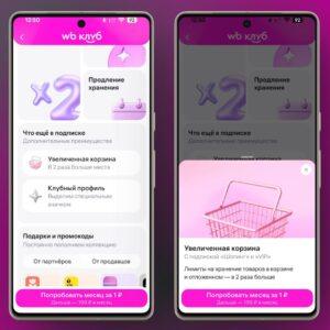 Wildberries вводит плату за расширение корзины. Wildberries, электронная коммерция, маркетплейс, платные услуги, экономика