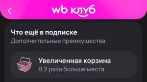 Wildberries вводит платную подписку: корзина теперь дороже 🛒💸. Wildberries, подписка, корзина, маркетплейс, монетизация