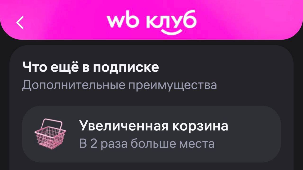Wildberries вводит платную подписку: корзина теперь дороже 🛒💸. Wildberries, подписка, корзина, маркетплейс, монетизация