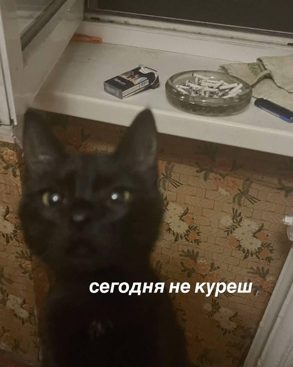 Перекуры стали дорогим удовольствием: зарплаты под угрозой 🚬. Зарплаты, Перекуры, Работа, Россия, Юристы