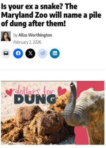 Зоопарк Мэриленда предлагает назвать кучу навоза в честь бывшего 🐘💩. Зоопарк Мэриленда, День святого Валентина, Акция, Бывшие, Экология