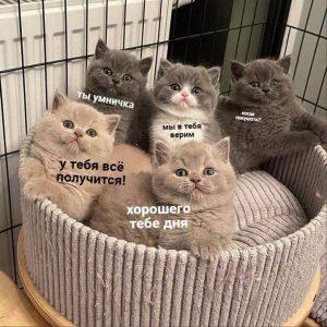 16 марта — день, когда всё делаешь правильно!