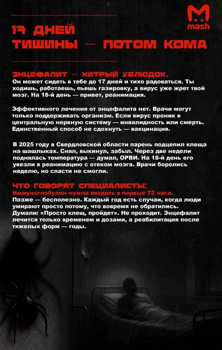 Африканские клещи в России: новая угроза весной 2026