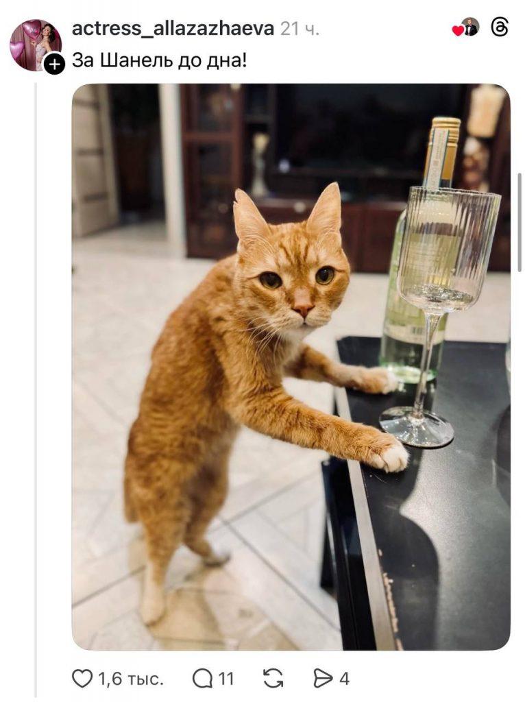 Басков покоряет Тредс: мимими-контент на новый уровень