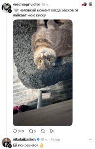 Басков покоряет Тредс: мимими-контент на новый уровень