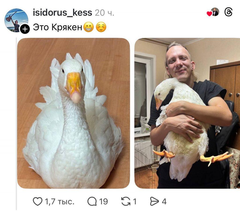 Басков покоряет Тредс: мимими-контент на новый уровень