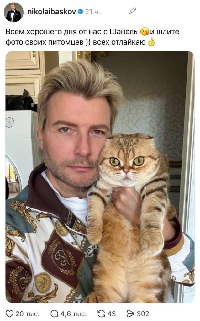 Басков покоряет Тредс: мимими-контент на новый уровень