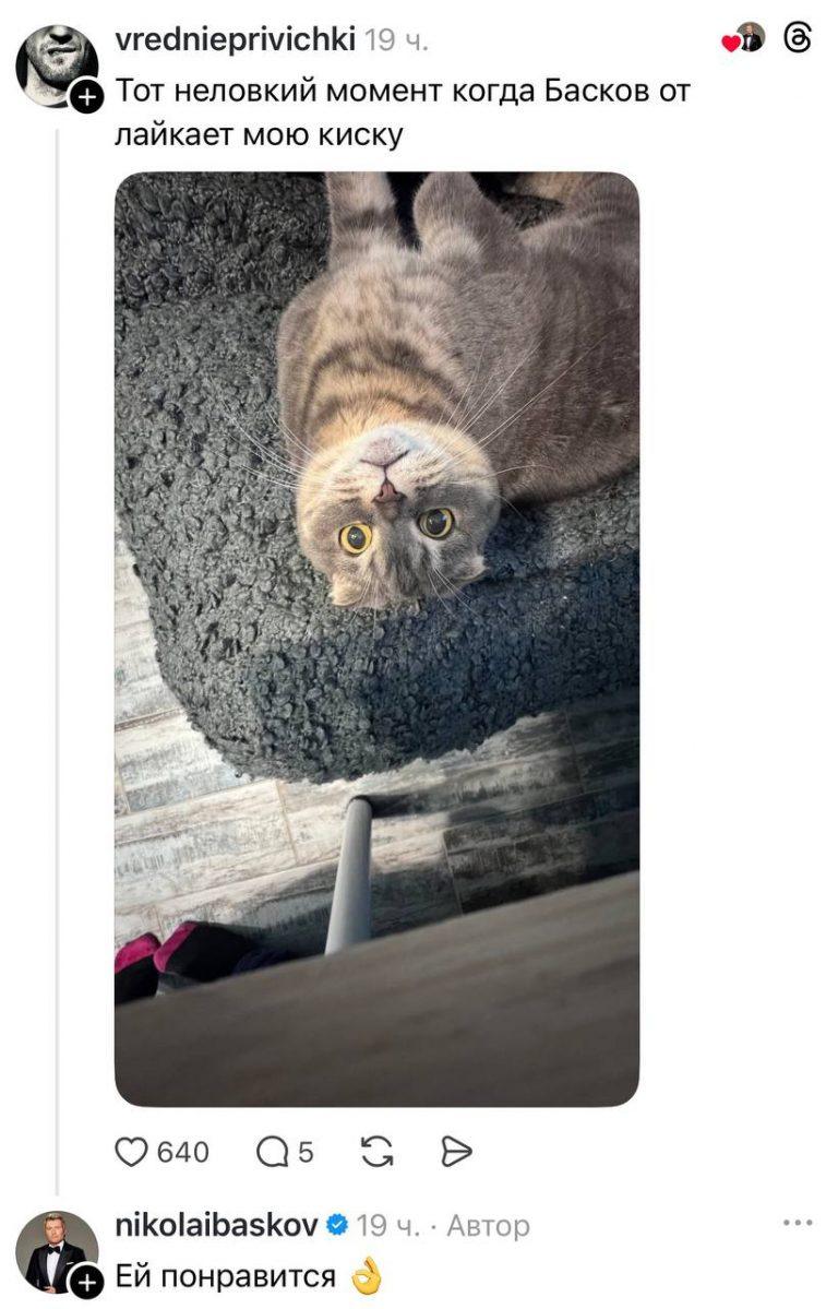 Басков покоряет Тредс: мимими-контент на новый уровень