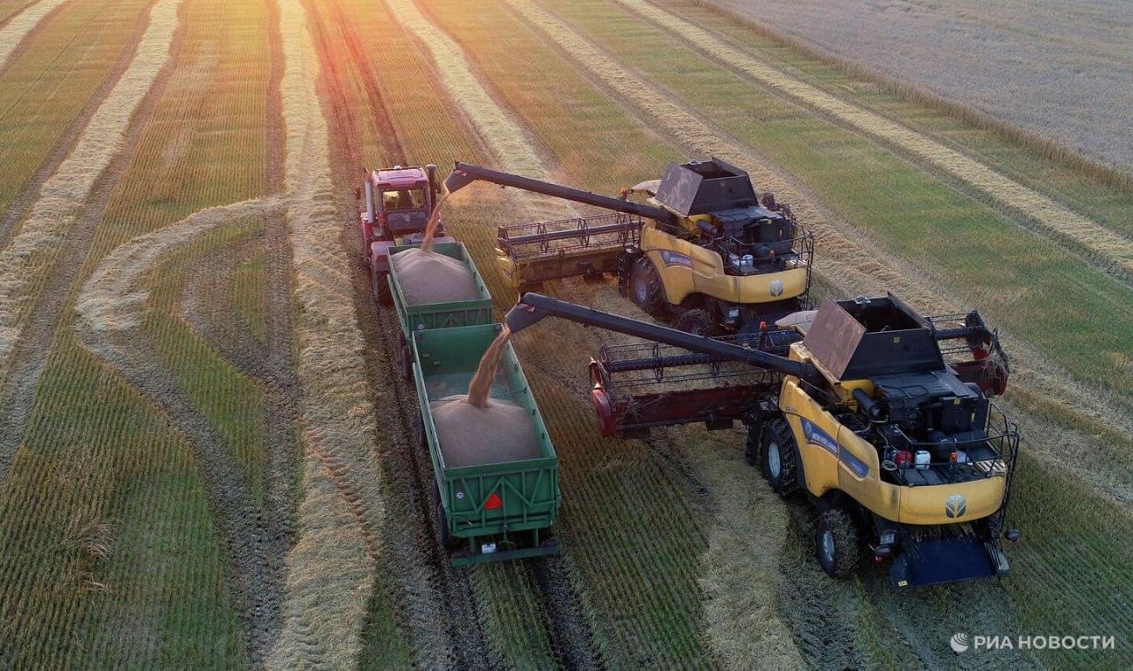 Ближний Восток: глобальный продовольственный кризис на горизонте