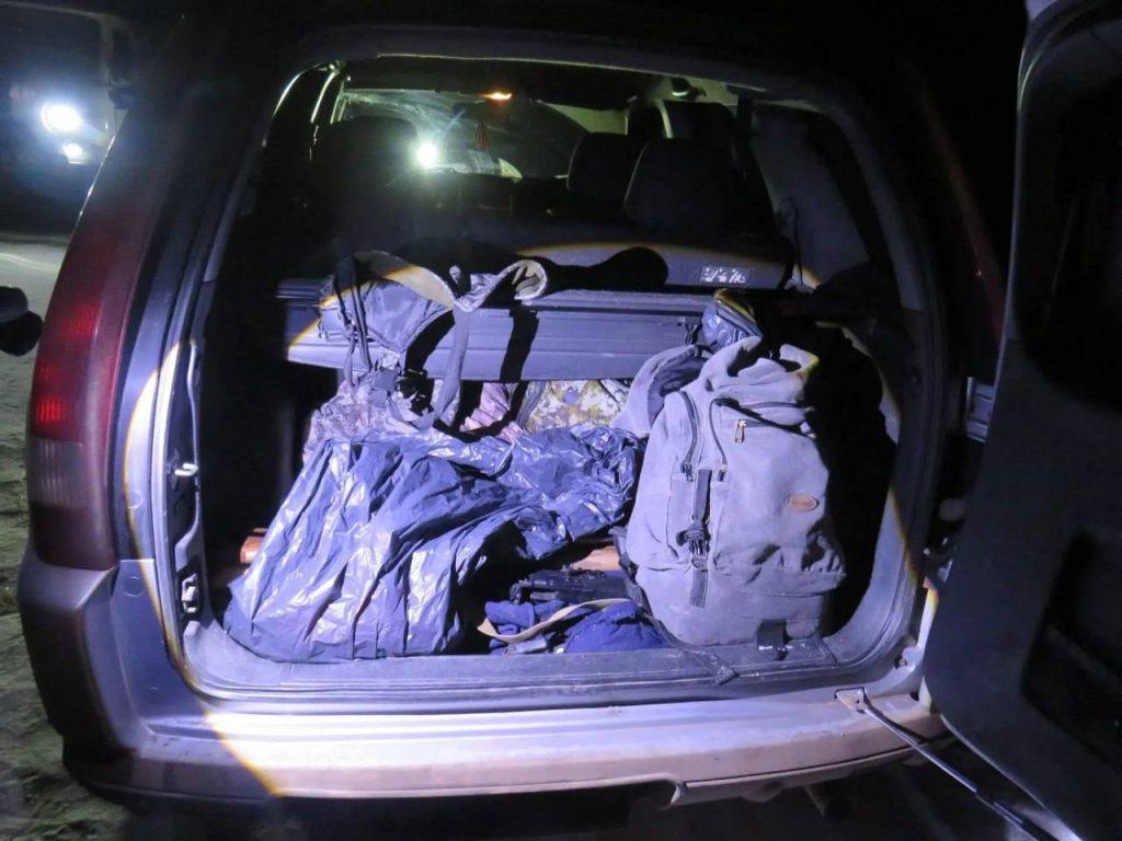 Браконьеры устроили кровавую вакханалию в лесу