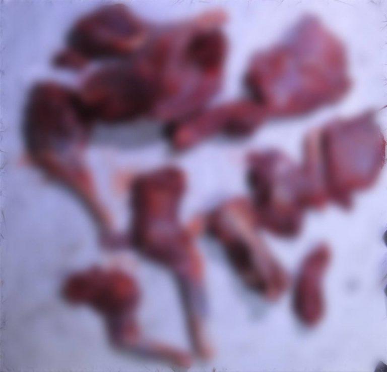 Браконьеры устроили кровавую вакханалию в лесу