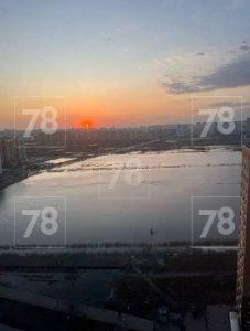 Царь-лужа в Мурино: купальный сезон открыт!