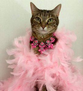 Числа судьбы: как дата рождения влияет на характер