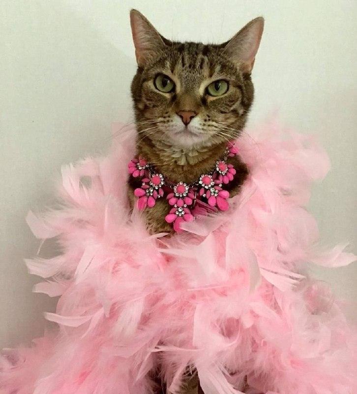 Числа судьбы: как дата рождения влияет на характер