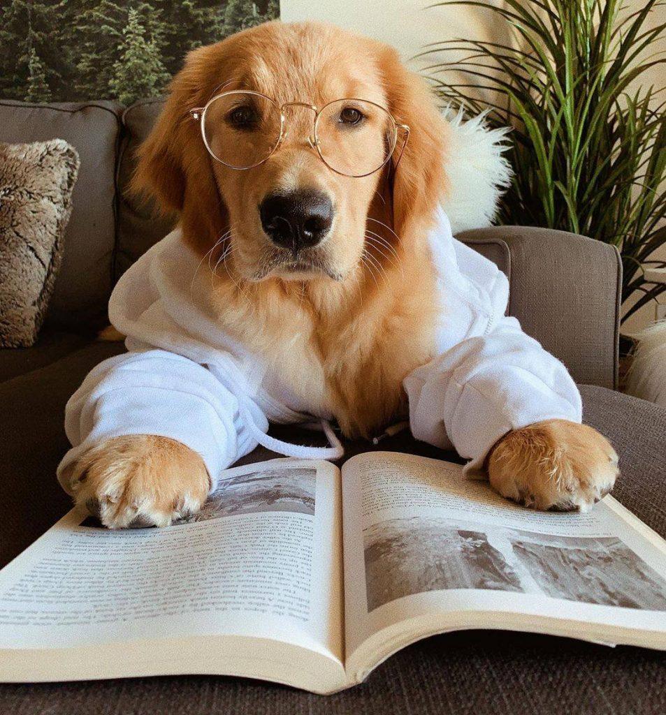 День умных и привлекательных: кто сегодня в тренде?