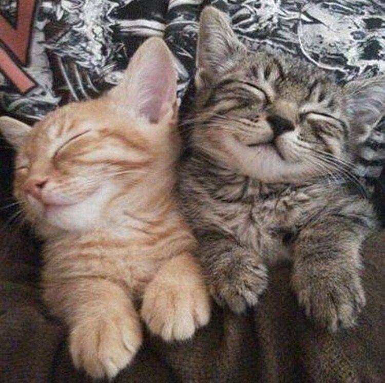 День уважения: как простые жесты укрепляют отношения