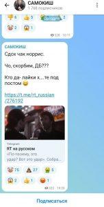 Депутат Госдумы критикует Чака Норриса и его фанатов