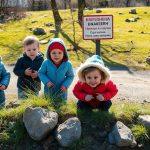 Гадюки в Петербурге: раннее пробуждение и опасность для детей