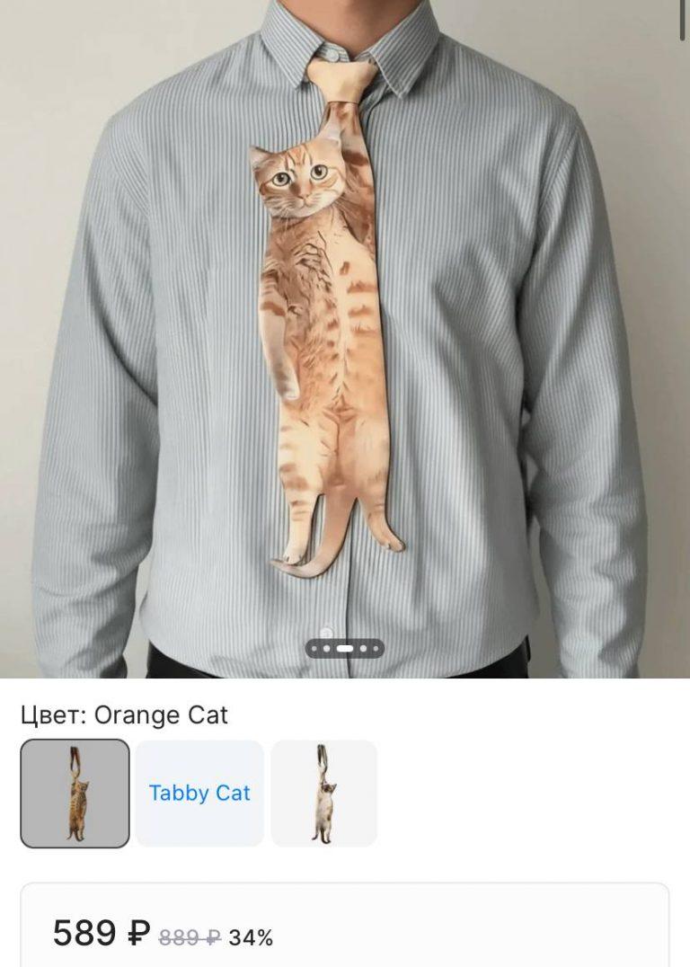 Галстуки за 150 рублей: как сэкономить на имидже для собеседования