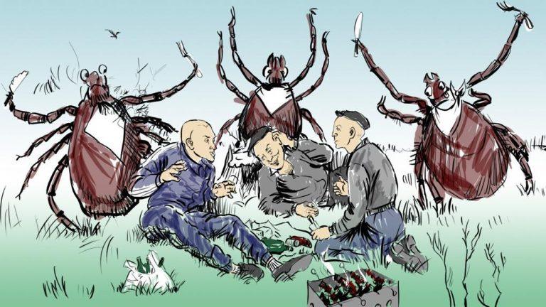 Гигантские клещи-мутанты атакуют юг России