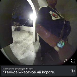 ИИ RING AI ошибся: женщина идентифицирована как животное