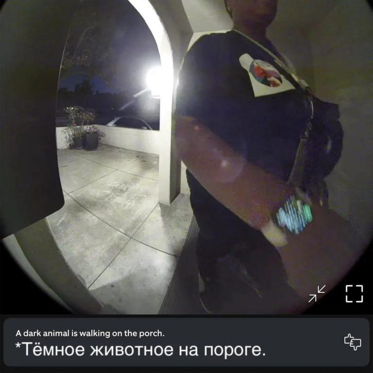 ИИ RING AI ошибся: женщина идентифицирована как животное