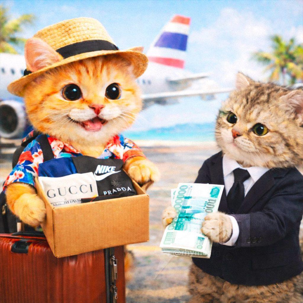 Как летать за границу бесплатно: секрет с доставкой посылок