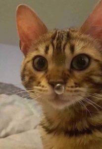 Коллега заразил вас? Получите компенсацию через суд!