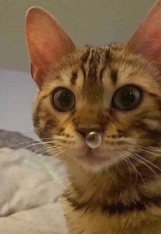 Коллега заразил вас? Получите компенсацию через суд!