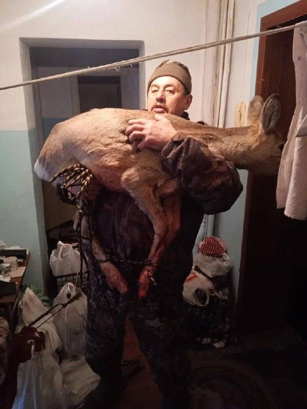 Косуля ворвалась в квартиру пенсионера в Красноярске