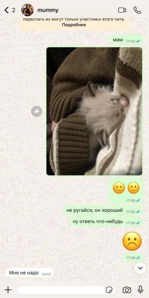 Кот стал главным героем семьи через 5 лет