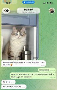 Кот стал главным героем семьи через 5 лет