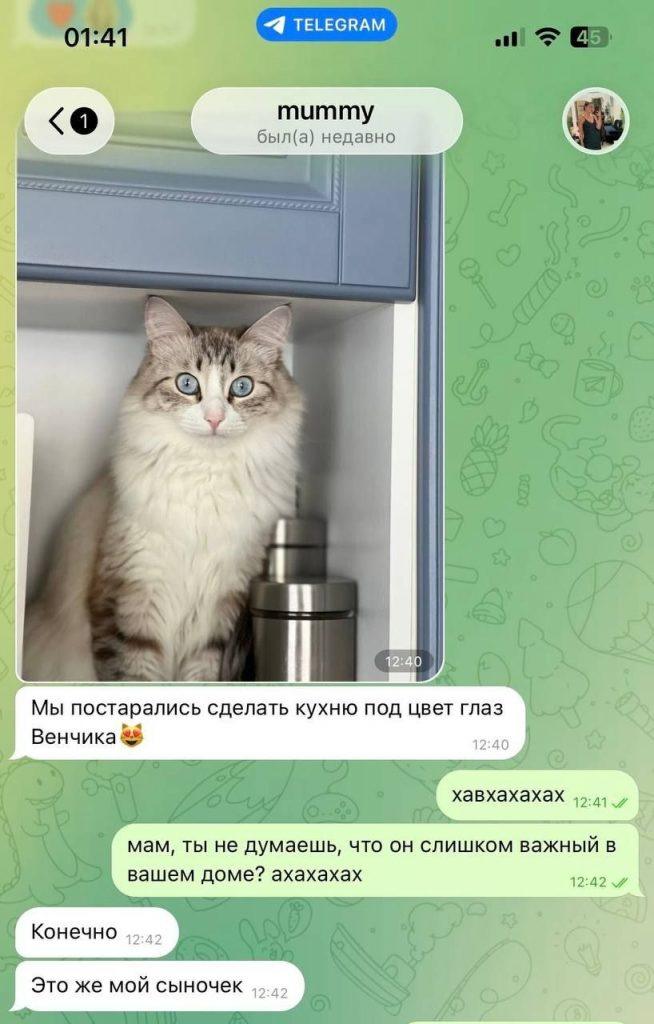 Кот стал главным героем семьи через 5 лет