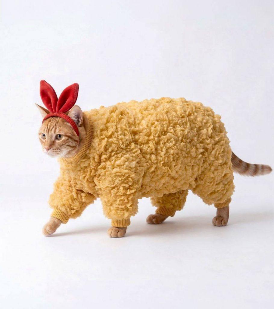 Кот в костюме жареного наггетса: мода или юмор?