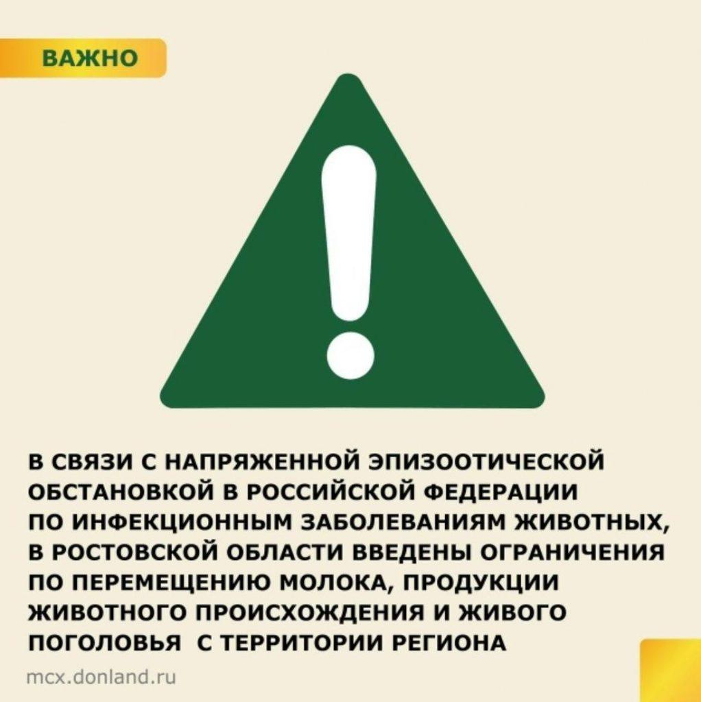 Кризис в Ростовской области: ограничения на вывоз мяса и молока