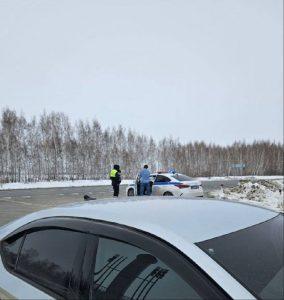 Массовые протесты в Новосибирской области: операция «Анаконда»