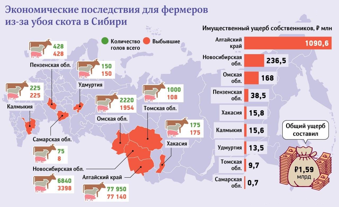 Массовый убой скота: ущерб превысил полтора миллиарда рублей