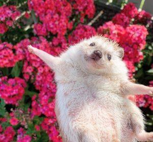 Международный день счастья: почему он важен сегодня